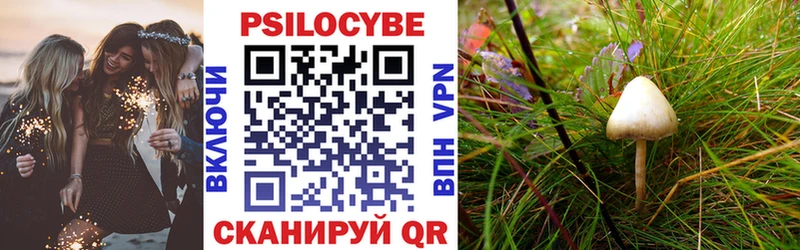 дарнет шоп  Фролово  Галлюциногенные грибы Magic Shrooms 