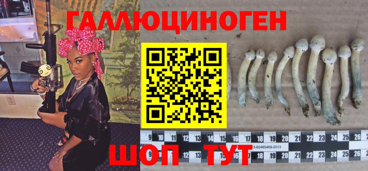 Фролово  Галлюциногенные грибы мицелий  Вход с VPN  Псилоцибиновые грибы Magic Shrooms 