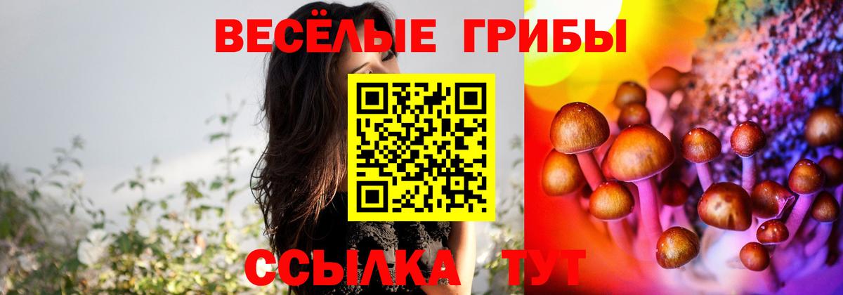 Псилоцибиновые грибы Magic Shrooms Фролово