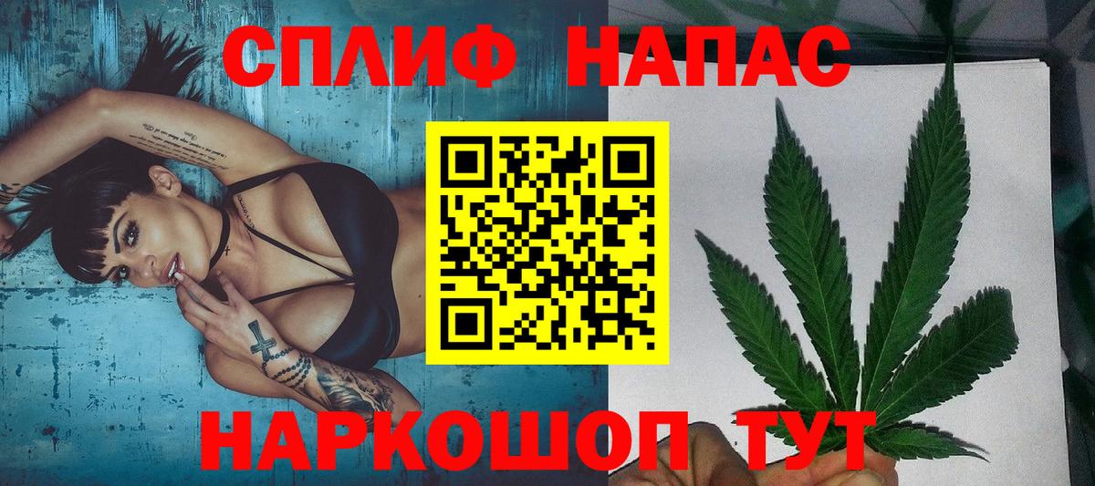Бошки Шишки планчик Фролово